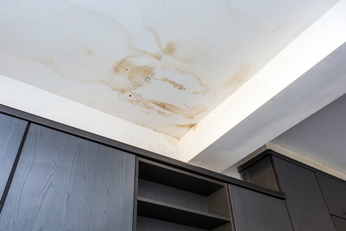 mold-ceiling