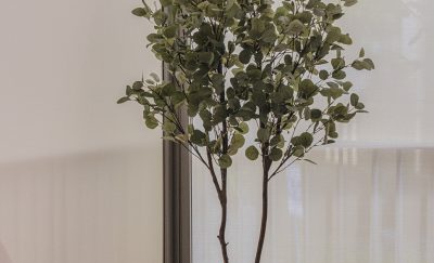 gallery item